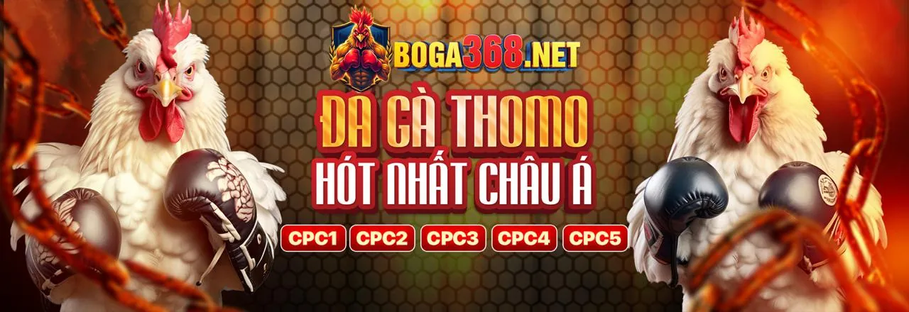 Đá gà trực tuyến kịch tính tại S6666 Code